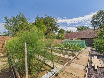 Picture 30